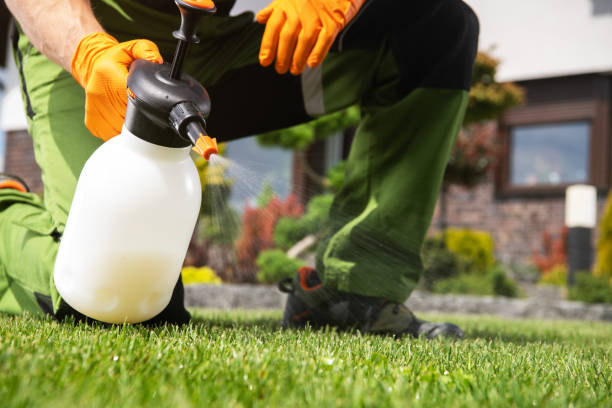 Best Rodent Control Near Me  in Ingalls Park, IL
