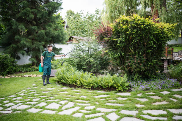 Best Insect Control  in Ingalls Park, IL