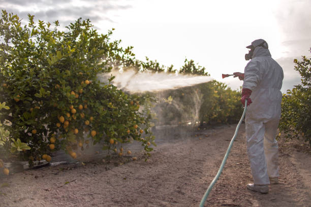 Professional Pest Control in Ingalls Park, IL