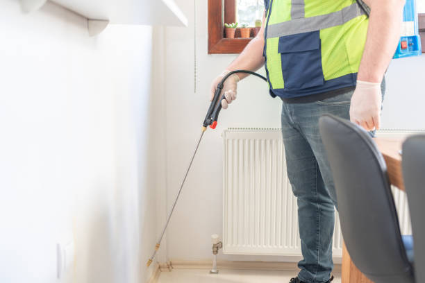 Best Affordable Pest Control Services  in Ingalls Park, IL
