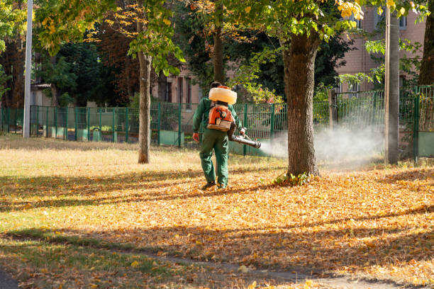 Best Local Pest Control Services  in Ingalls Park, IL