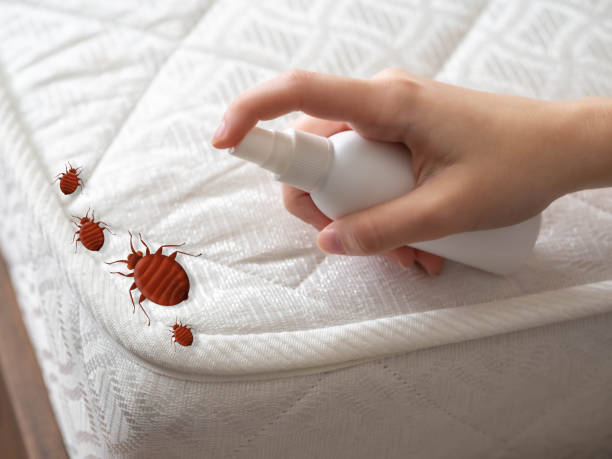 Best Pest Removal Services  in Ingalls Park, IL